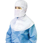 Clean Mask (w/ Guard)