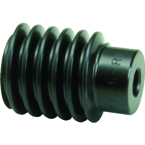 Steel Worm