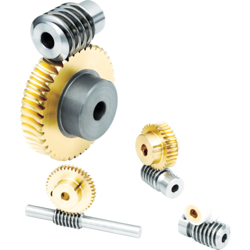 Worm and Worm Wheel